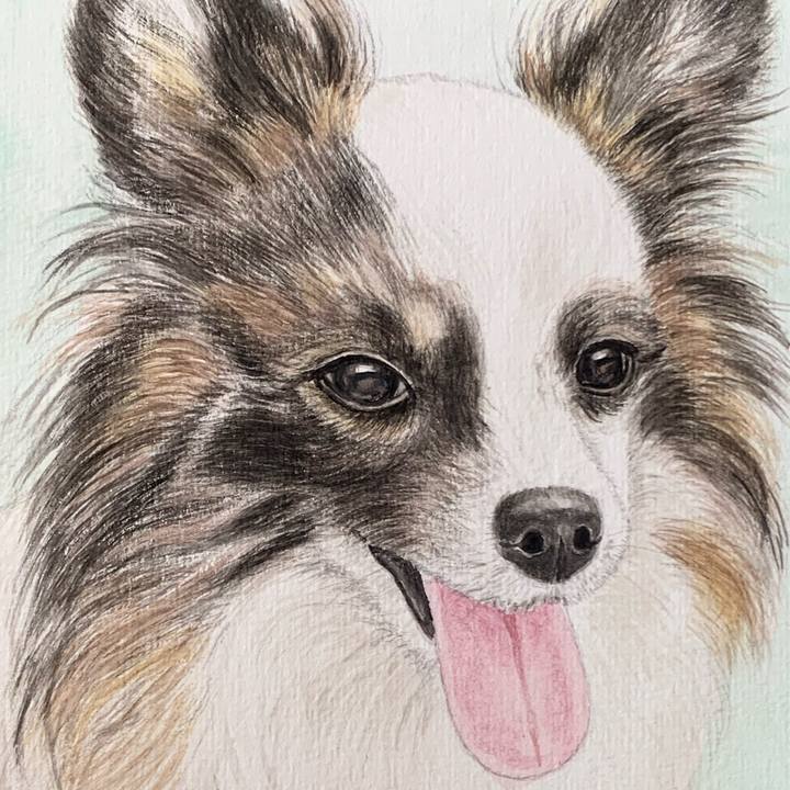 457bc19a aaf7 4c2b b4f3 43dcc4184576 1690772639320