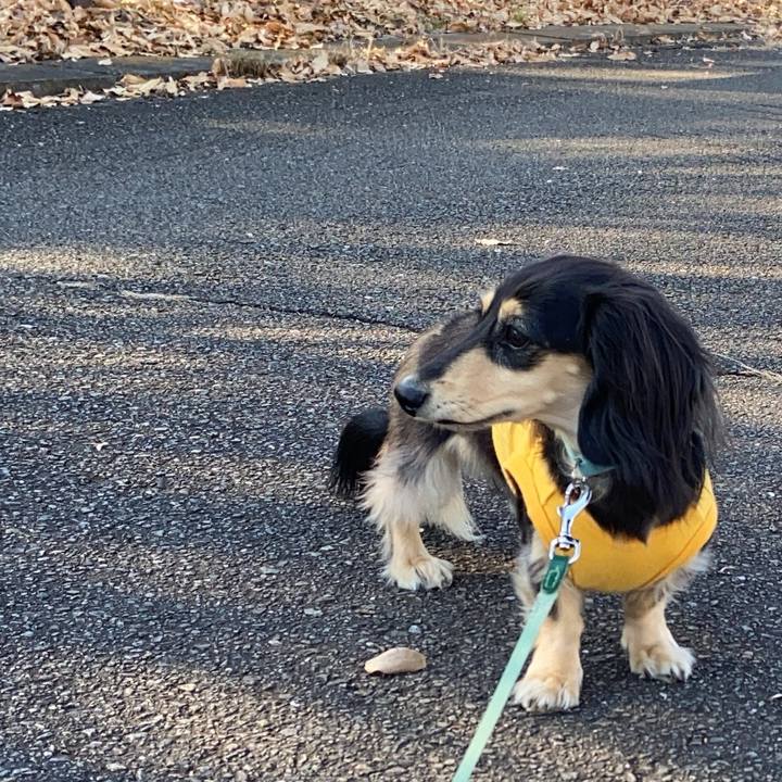 457bcc23 48c5 43de 951c 95be18286b9b 1734498005887