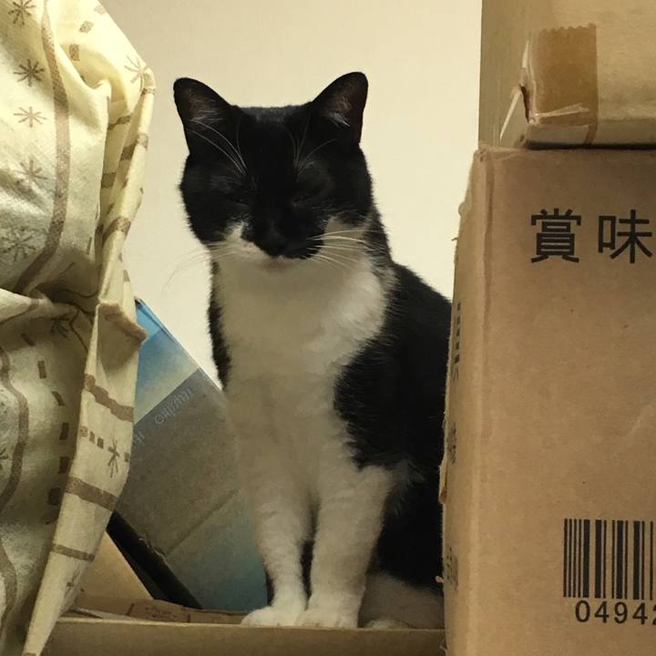 457bd4c0 ecff 45dc a841 bc49a552a4fb 1535340331220