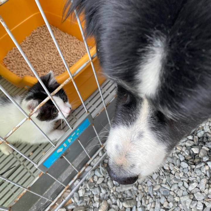 457bec32 c0fd 45e3 879a 7e40418967b2 1652576325667