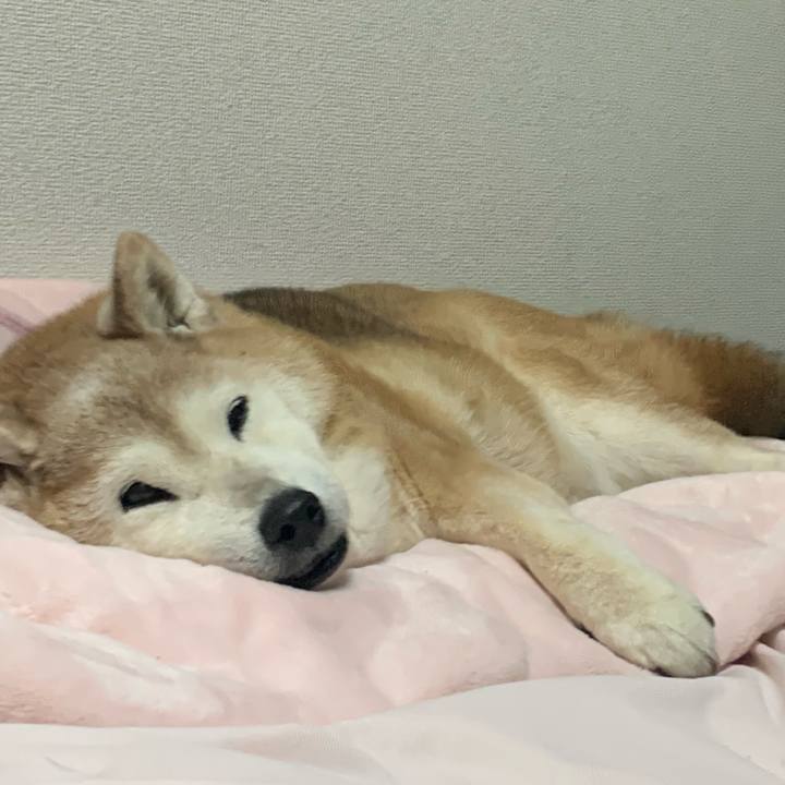 457bf8bc 4172 4f3e 85ea 83ed3db8c399 1681545780639