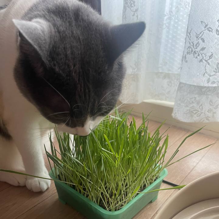 457bff66 42ee 4da7 88cc a9513a04a181 1688679592392