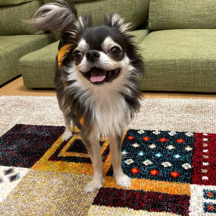 457c069f a2ab 4731 b758 a2ec9d3fedaf 1681657403561