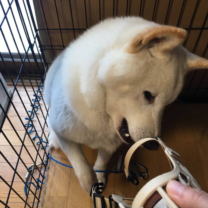 457c0f99 d9a1 4ef3 bd1e 977a26371078 1543706409941