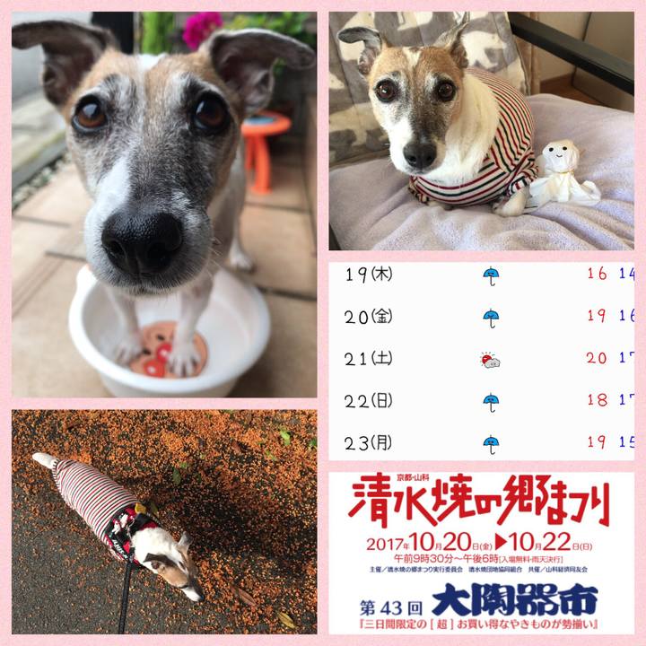 457c1d35 1b86 4afd 86ab ac11d8fbad09 1508288296019