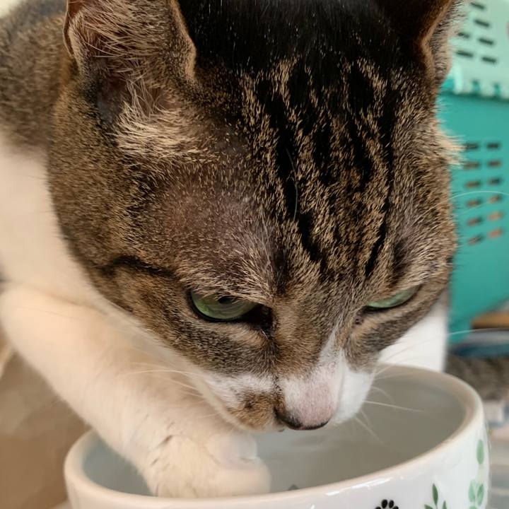 457c3142 7bce 4a00 94ca cef24fe8111a 1539568215718