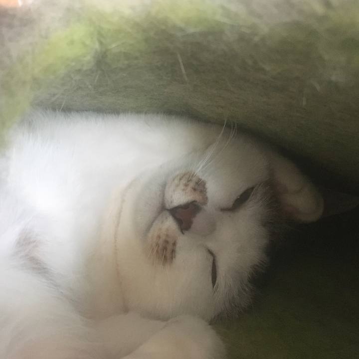 457c34e6 9386 4d2d ac87 a4ec2d7cd943 1618715506380