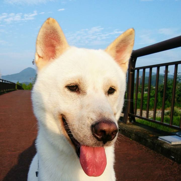 457c7745 8b7f 47a2 affe 1876023f9490 1596664972237