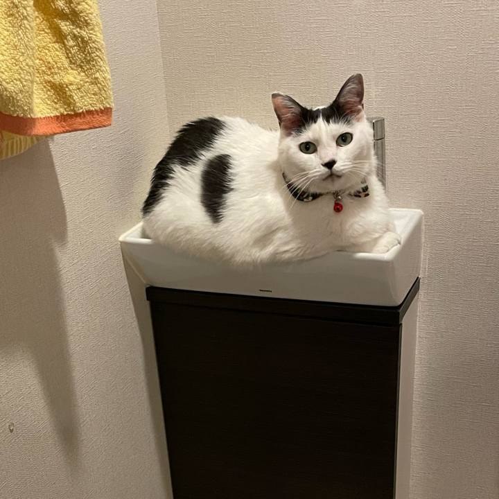 457cb29a a91e 410d afd8 a87fd6e2f270 1635737756281