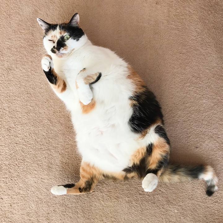 457cd97a 1bc4 4c04 baf7 2b5093fc34f3 1514983859117