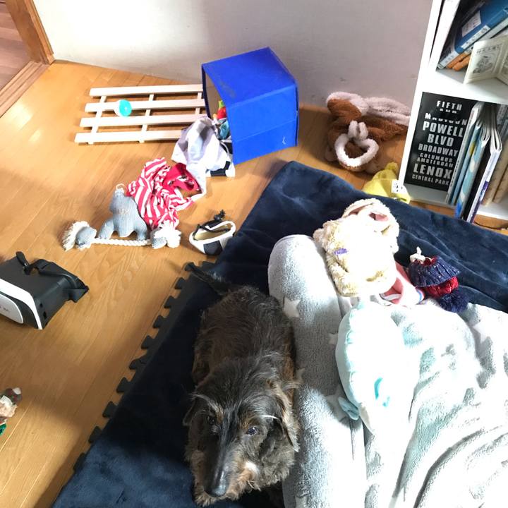 457d042d f5e7 4bc9 ba2e de3d135ad7bf 1556239443332