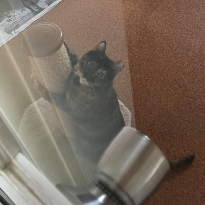 457d7a49 cd2e 4bde aee9 d46c4cfe10bc 1555214970076