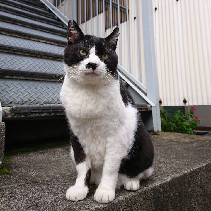 457d88b1 a501 4678 a5a7 a783abd54c88 1665811083973