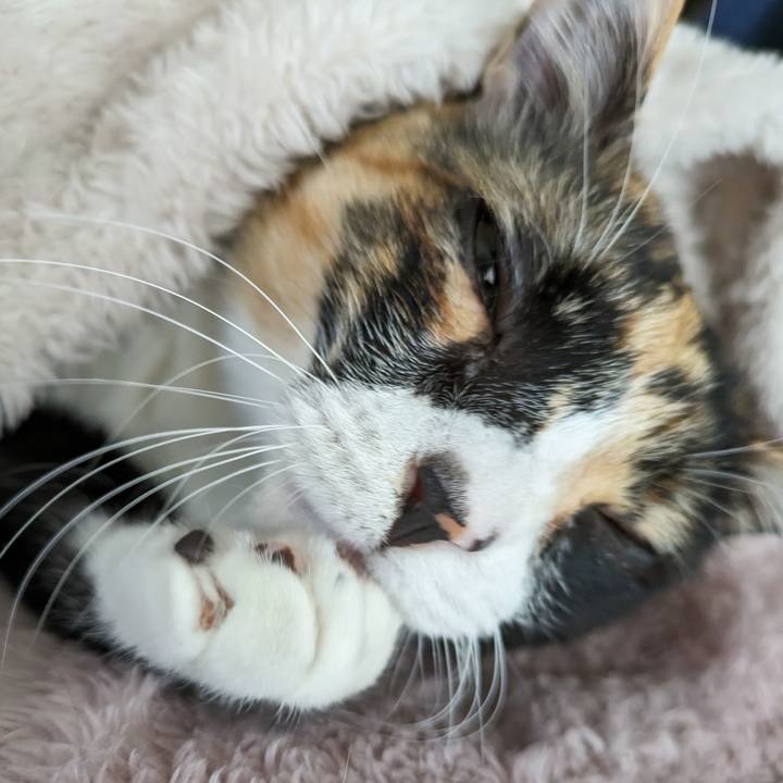 457d8c4b 238a 4ac9 8028 de24b0e3fcf9 1711338181522