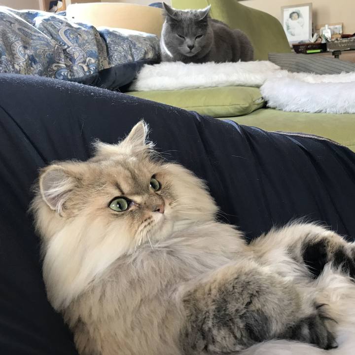 457db559 049b 4086 a165 ef3fec72435c 1576460076065