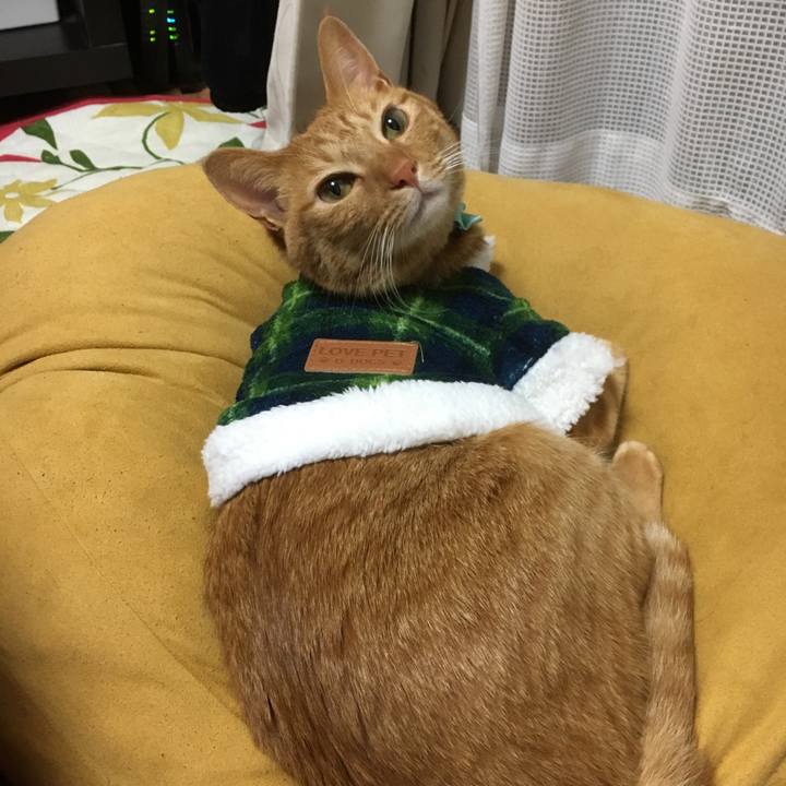 457db93c 02d8 4701 b864 1b6fc6000965 1513945413962