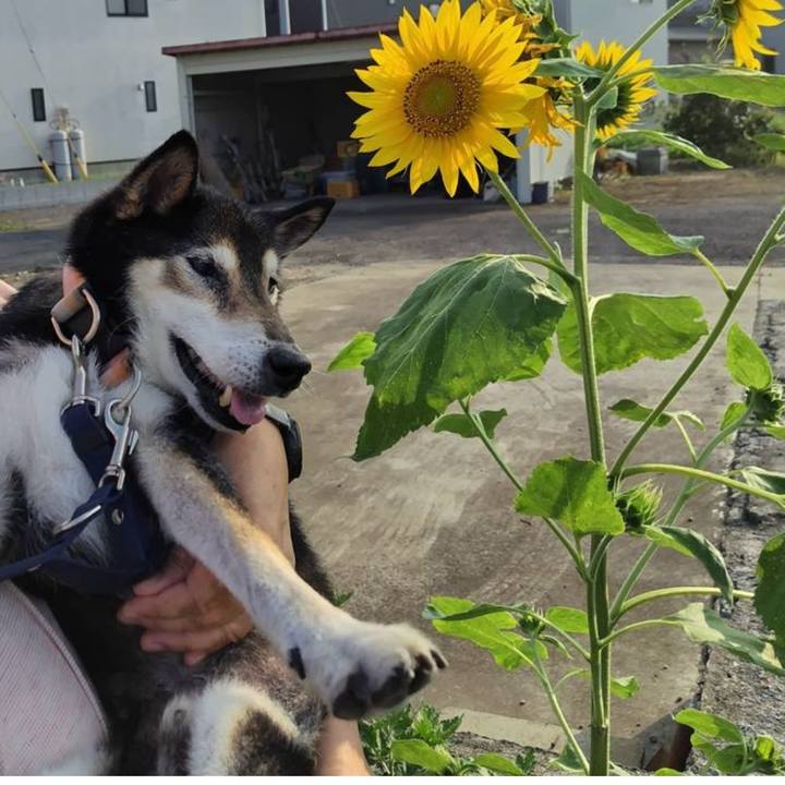 457dba16 5d0f 49e6 bf6b 303b4b4394c3 1769764262841