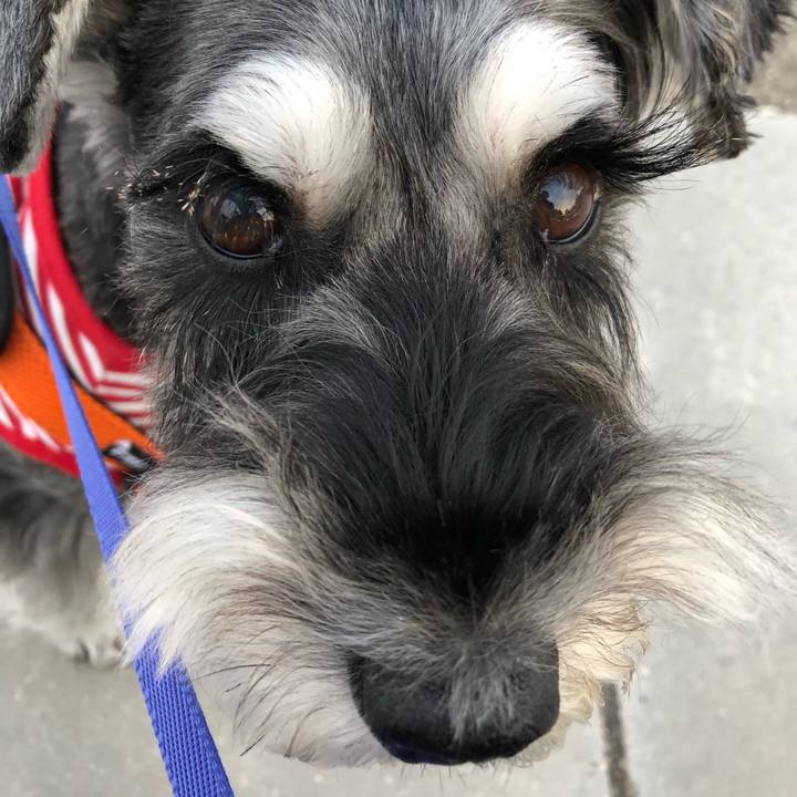 457e2e5d d309 46de a91d b6c950faa551 1697236226231