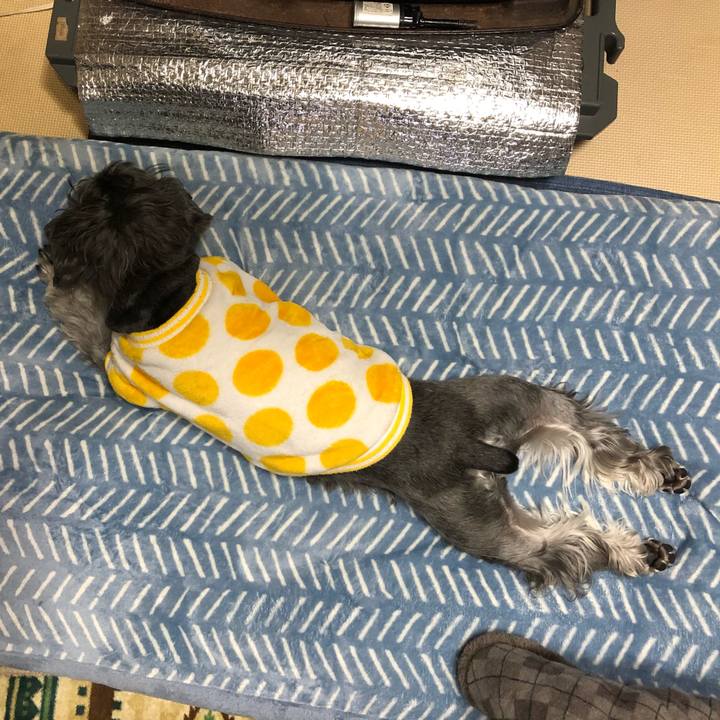 457e77b4 e238 4821 93fc e312cd7e32f2 1673619239495