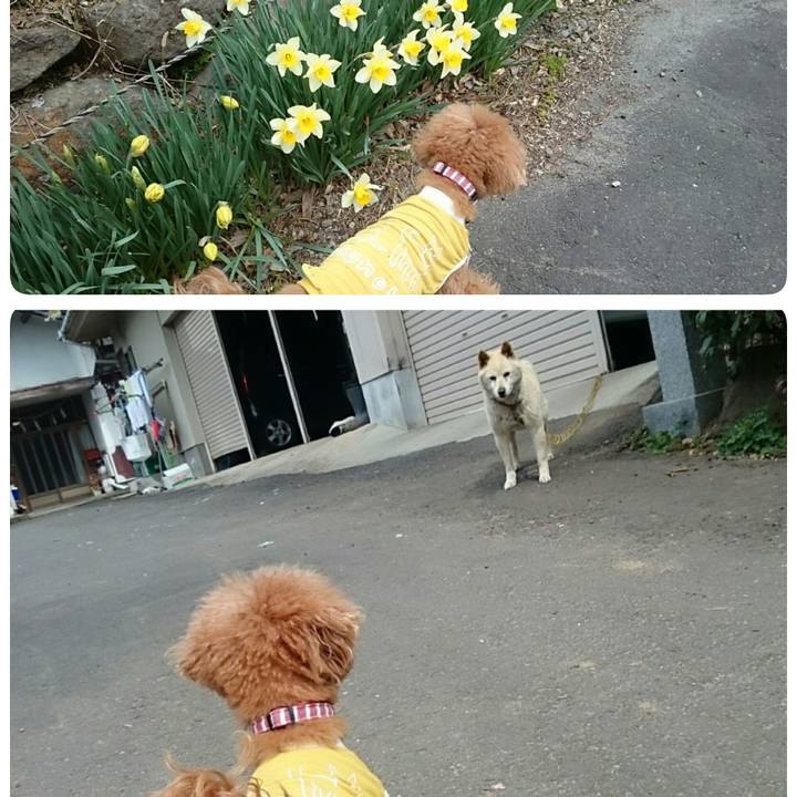 457e7a43 2e9c 45a7 8b8b add1b7c288b7 1522636699949