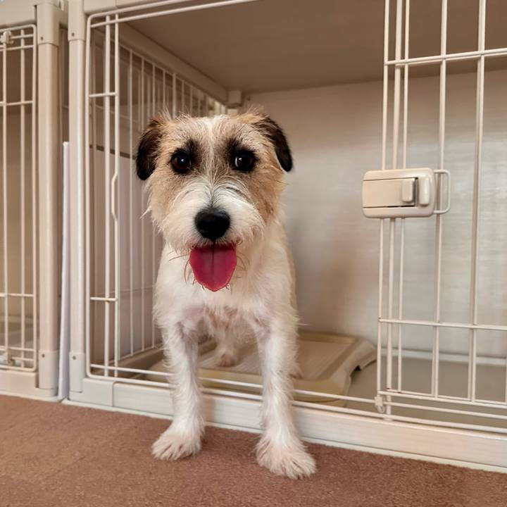 457e9a9d ea5b 4490 87b5 d6589d7341fb 1721959169624