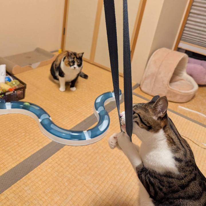 457ea7c6 b3ec 439a 8627 0ed7889faf54 1765533969200