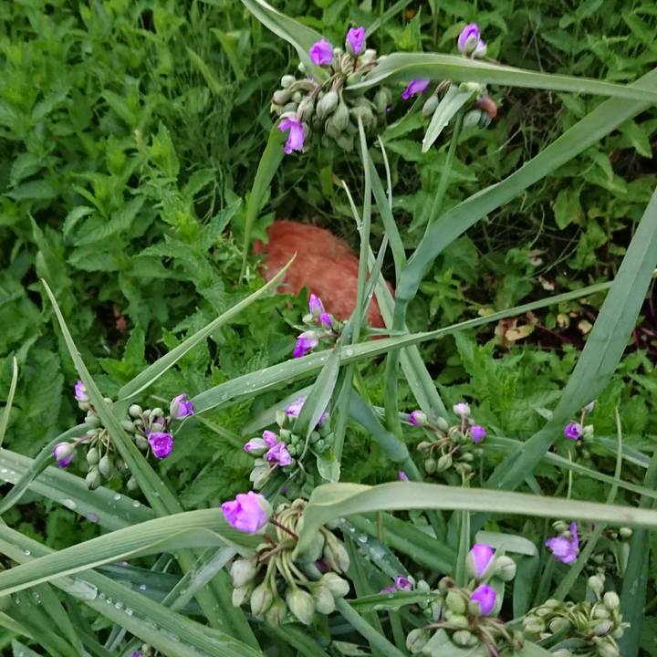 457eaab5 16cd 4bbd 8ada e8da426666f6 1561372938618