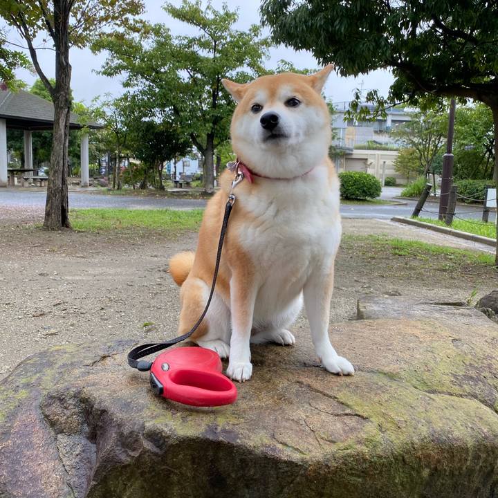 457ebbe6 b940 4bd5 a8ce 87e3db8afe30 1630741749665