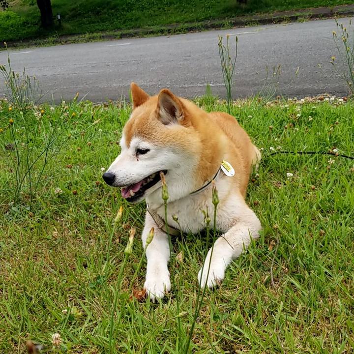 457ed060 0345 4259 a75d 93225e875adb 1657443496760