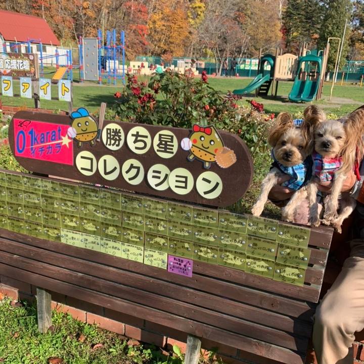 457f032a b68e 43b8 9436 9f0a986c6c44 1636276795129