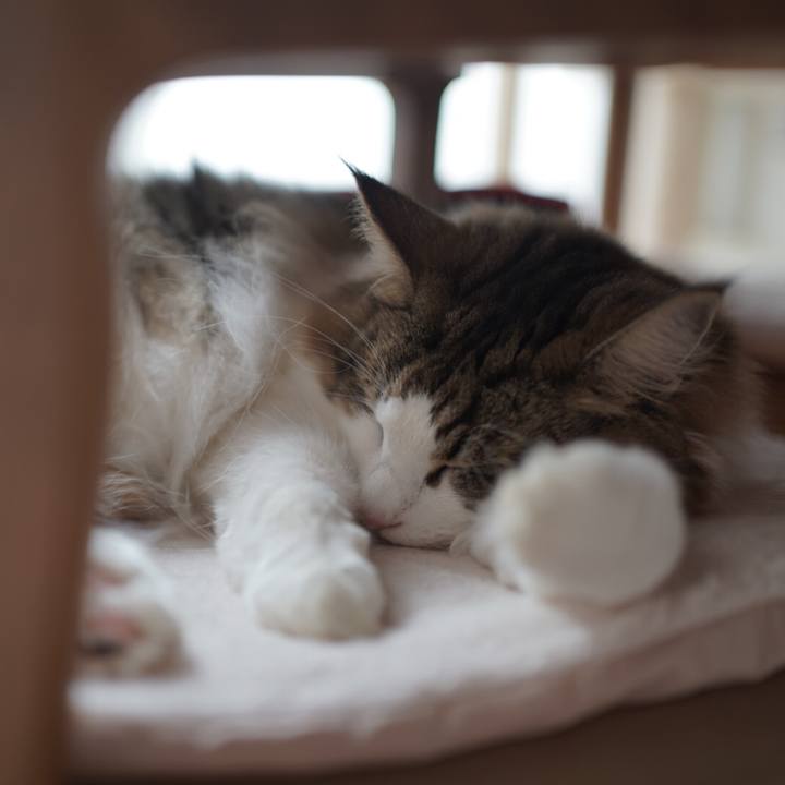 457f0b8a 0bae 4076 9432 2c7efce7c3c9 1603343459378