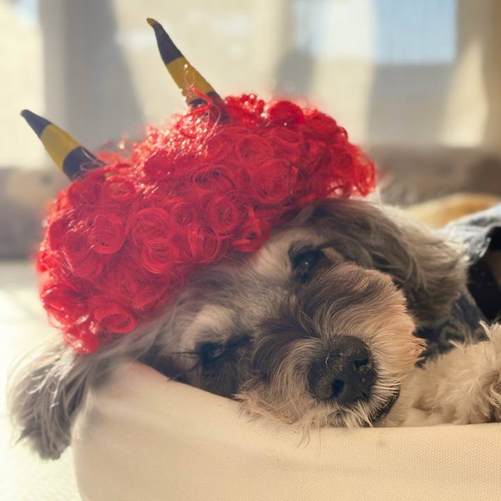 457f0fbb c879 49c7 9bb6 0b6ff3e6611d 1770117935656