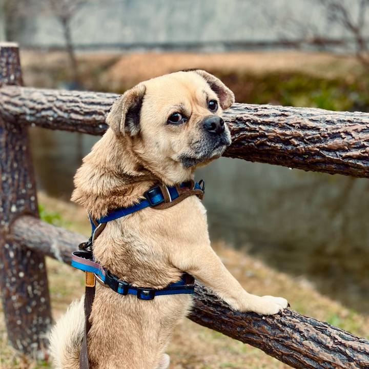 457fb75d 2230 48f5 a5a6 0452c25608f4 1770824584496