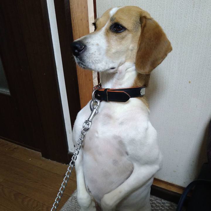 457fc937 3baf 431e b394 e402c1357e78 1628169638233