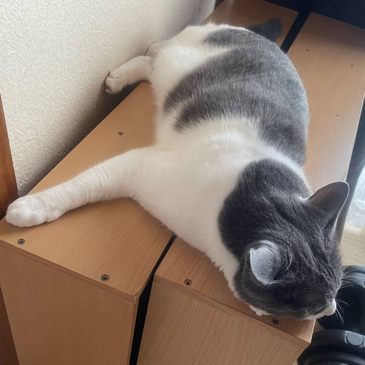 457fd5b1 7c40 42ee 9454 768274d2a1c0 1656136341252