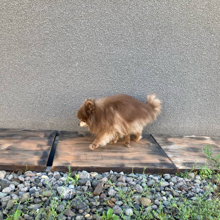 45802395 6178 4e8f 8ee5 9dc0fd7da573 1693860167943