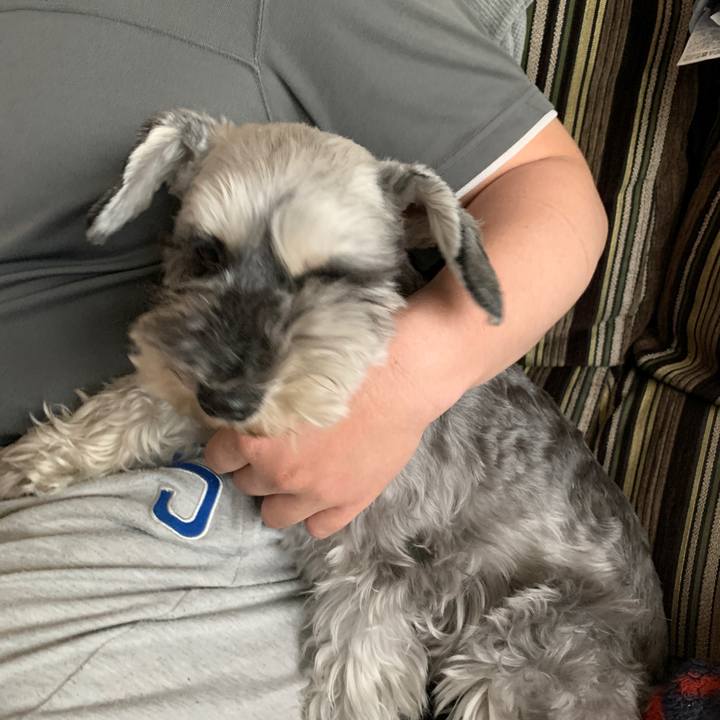 4580350c 1f9e 446a ac89 7a5e8f268f1d 1620172694724