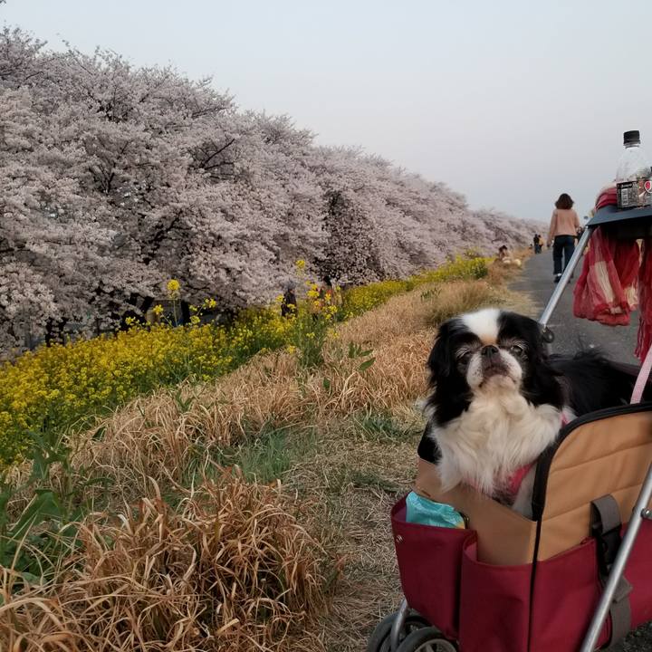 45803dec 736d 4d37 b09c 8dca9340a8f7 1522235691326