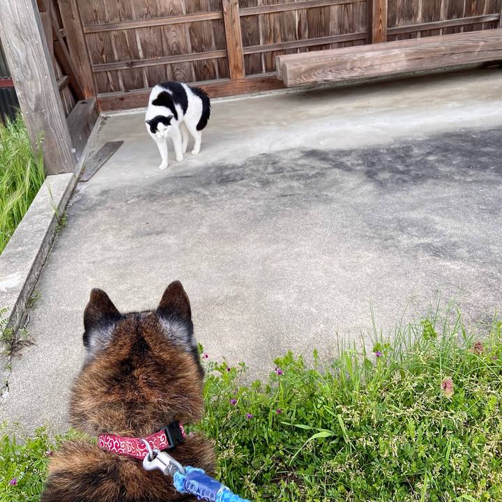 4580496f c1e4 4c08 abdf dc11779cf303 1745573545654