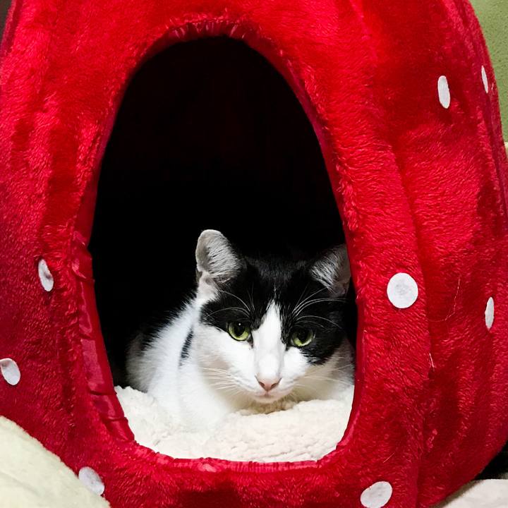 45805dc0 adee 4189 bac0 73a22d5c5b4d 1509114468537