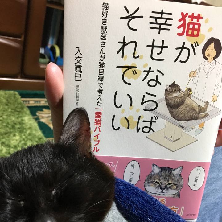 45806d11 567b 4e57 9473 94fd3af1cf25 1551172067104