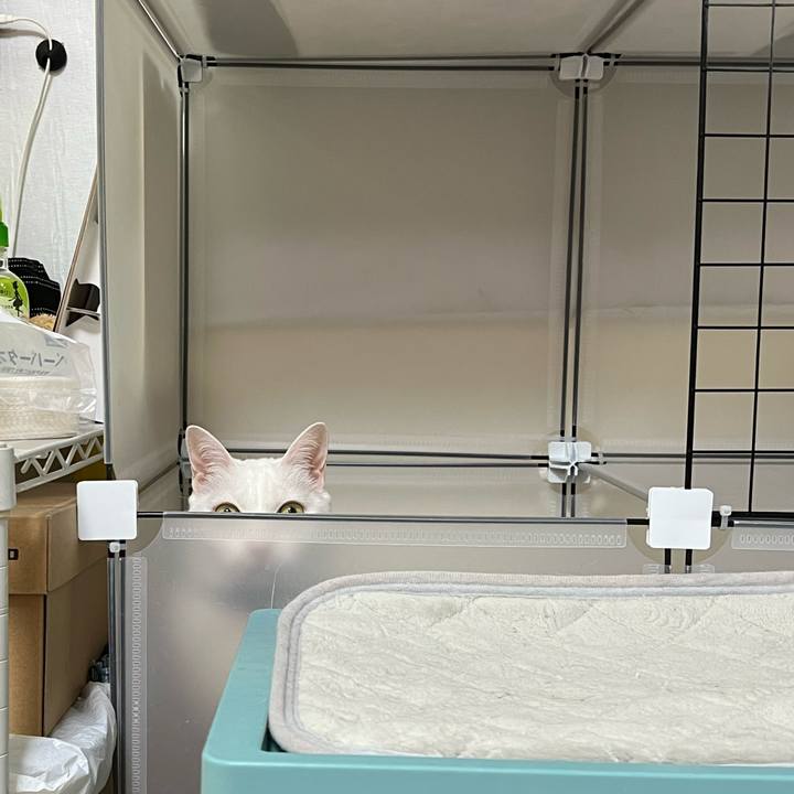 45807e6d 19aa 4714 9d84 1e722e274c2b 1705022266713