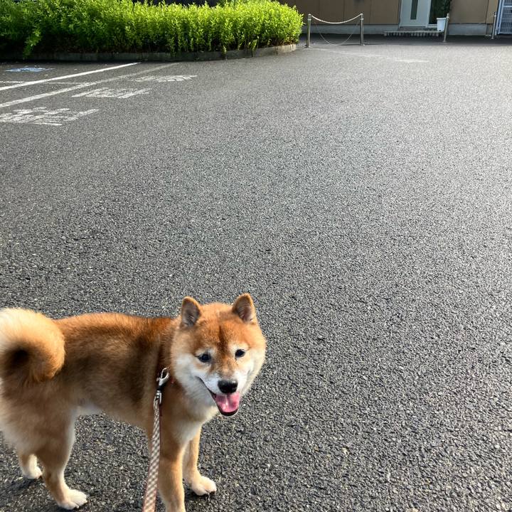 4580a9f1 cd5a 4d88 8806 00990261249b 1759650445302