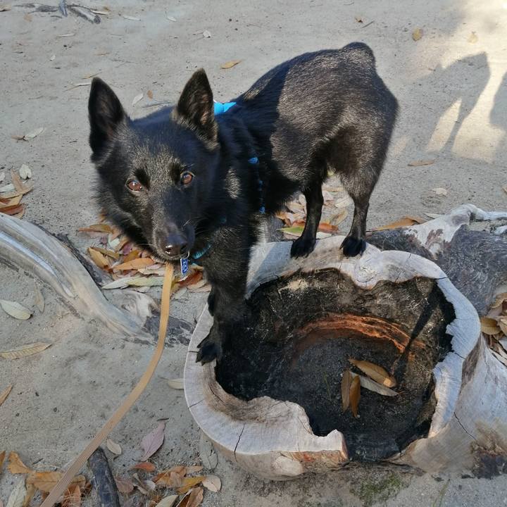 4580bd89 24bd 4aed a0c6 2ad369c2c219 1638057206612