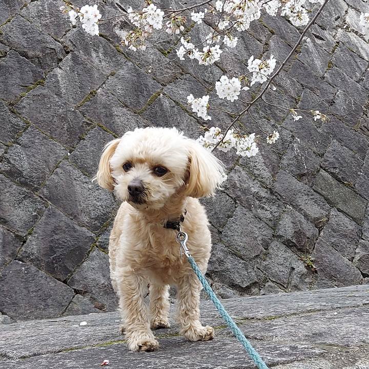 4580da0b d0e9 4307 9c05 18f65720661e 1648540191560