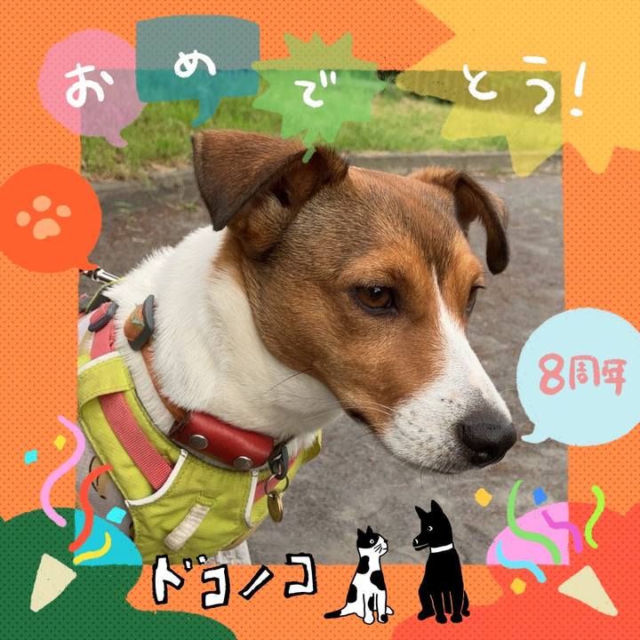 45810709 32ef 43a8 8c9b 59262b9b0e88 1717587736209