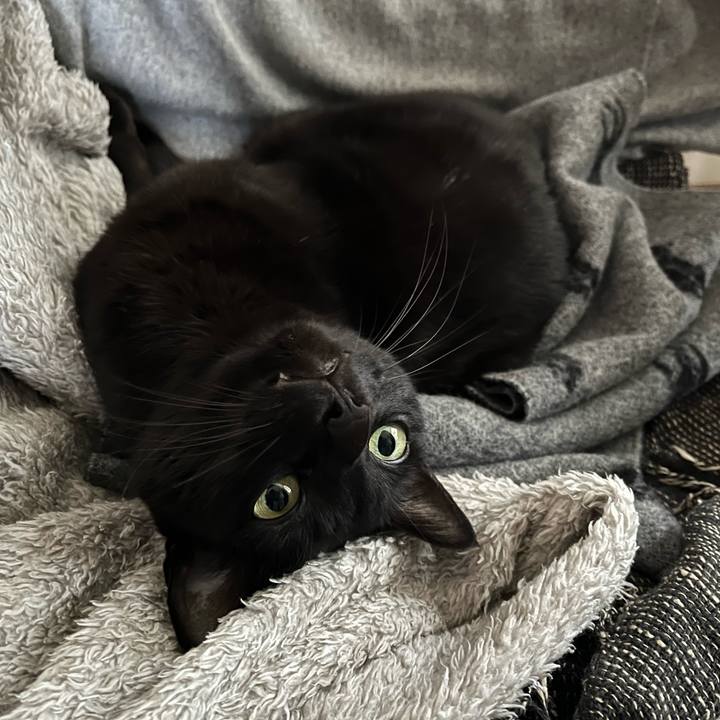 45811db9 b089 4cfe b1b1 5cdee790d8ed 1708906927980