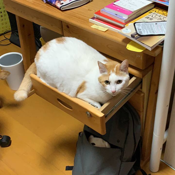 45813efe bf0b 4bcb b0fe 499e0f36b764 1575543264957