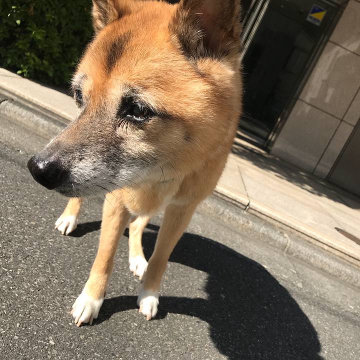 45813fa7 ebd6 4028 ae8e 4d167c612cb4 1541212916987