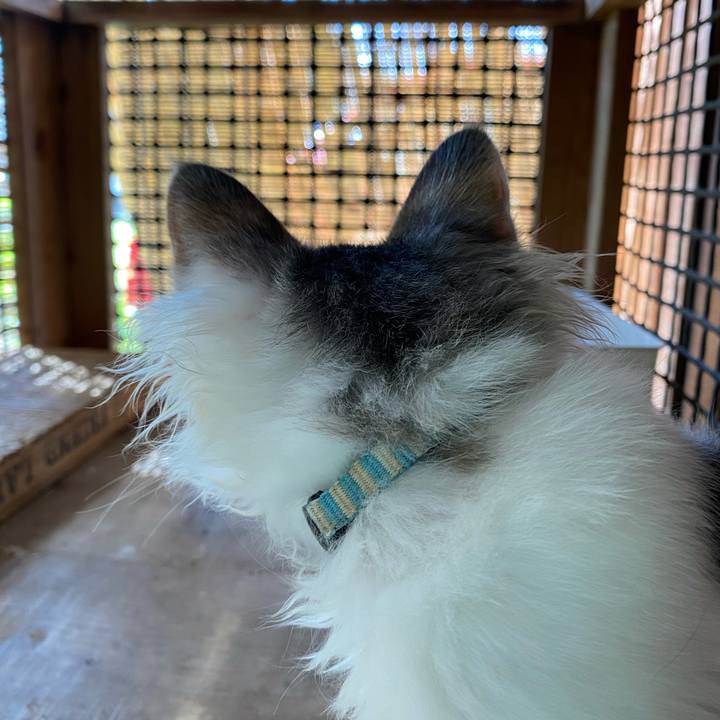 45814a44 35b0 4f1a bfe2 30274aba2f94 1632281967916